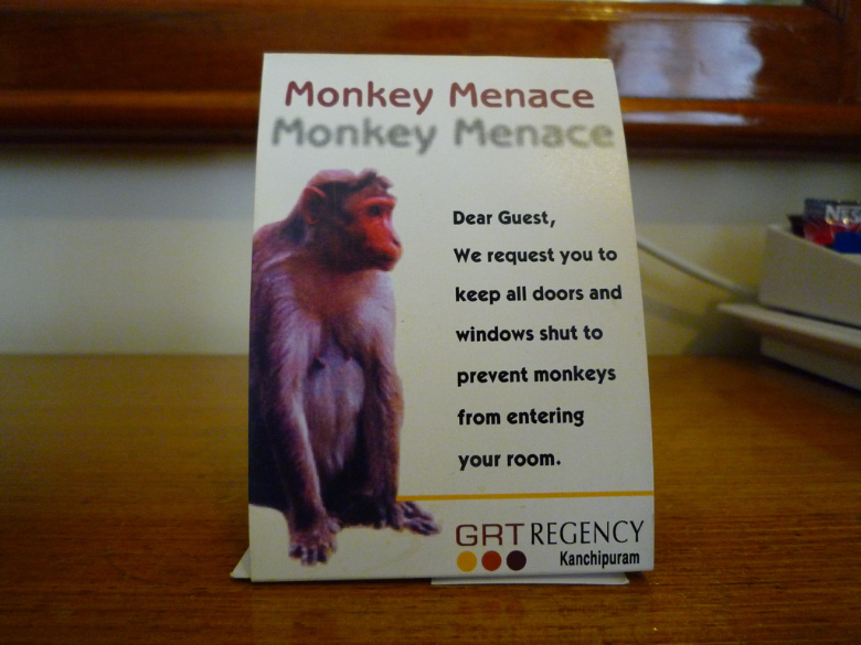 Affenhitze und Affenwarnung im Hotel