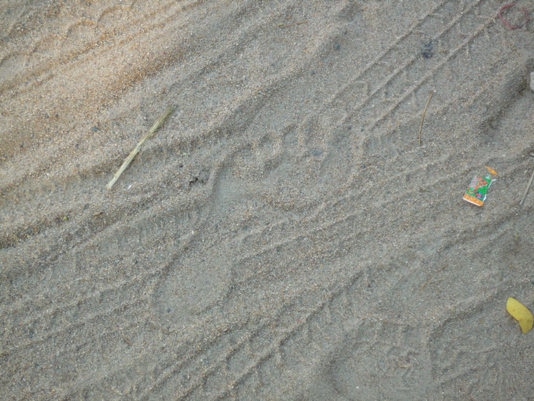 Spuren im (Strassen-) Sand
