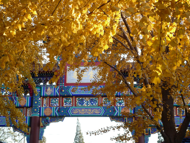 Herbst Tempel