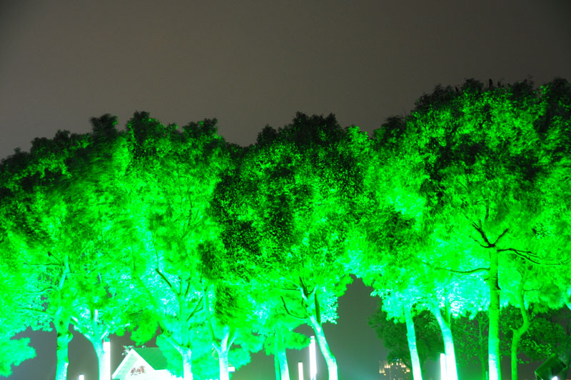 beleuchtete Bäume